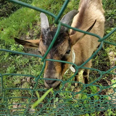 Casa Spiaggiola * Rocca Pitigliana
