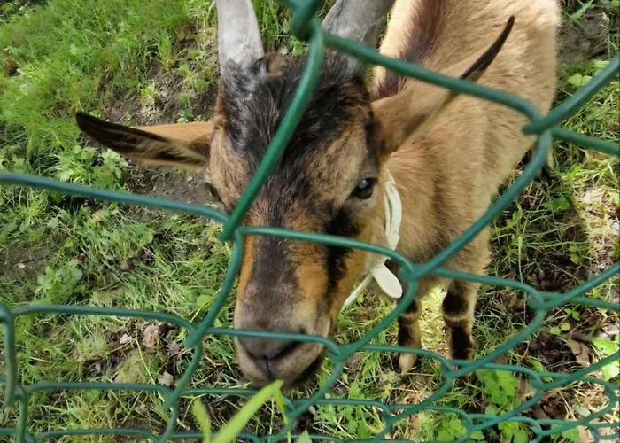 Casa Spiaggiola * Rocca Pitigliana